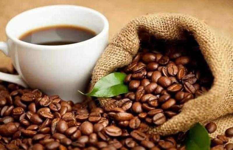 مسئول: زراعة البن في مصر ما زالت في إطار التجارب البحثية