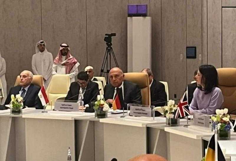 سامح شكري يشارك في اجتماع تنسيقي مع بعض الدول للاعتراف بالدولة الفلسطينية