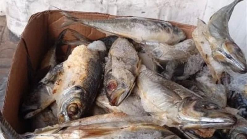 ضبط أسماك مملحة غير صالحة للاستخدام الآدمي في السويس
