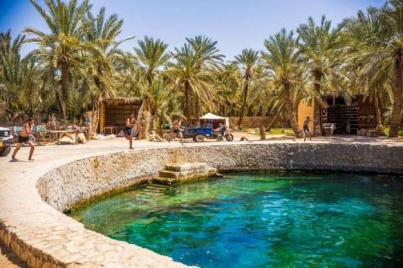 مجلس الوزراء: مصر تقدمت في صناعة السياحة العلاجية في العالم العربي