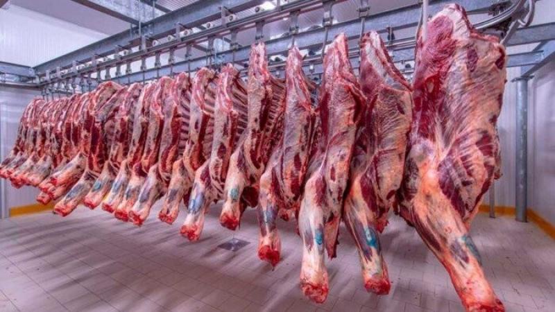 شعبة القصابين تحذر من شراء اللحم البلدي بأقل من 400 جنيه