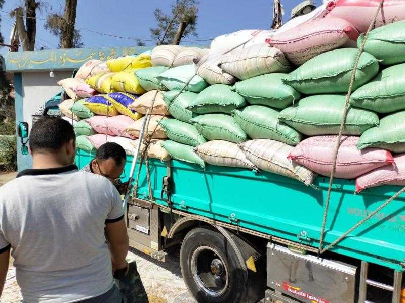 توريد 68597 طن قمح لصوامع وشون القليوبية