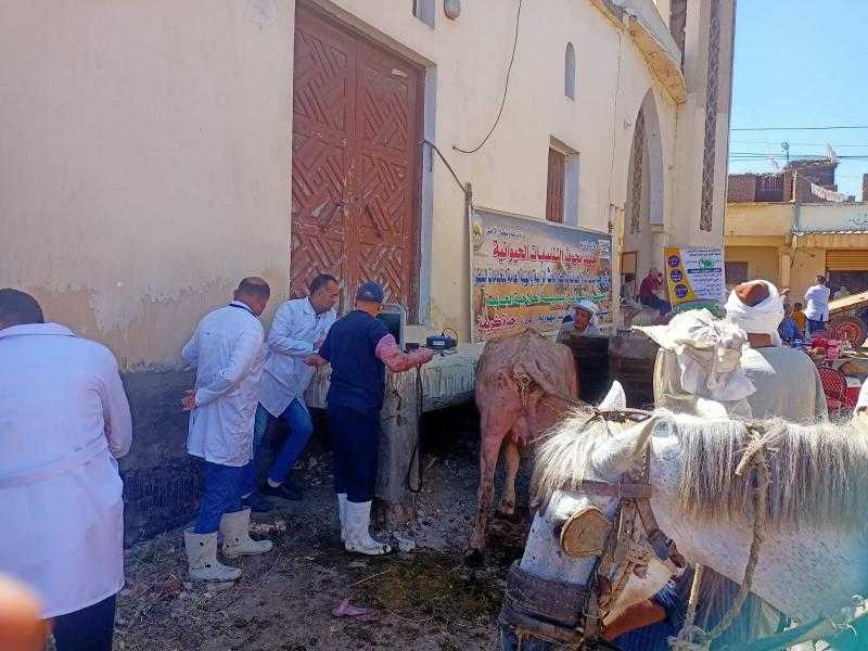 الزراعة:علاج وفحص أكثر من 4800 رأس ماشية مجانا لدى 2086 من صغار المربين بمحافظة الدقهلية |صور