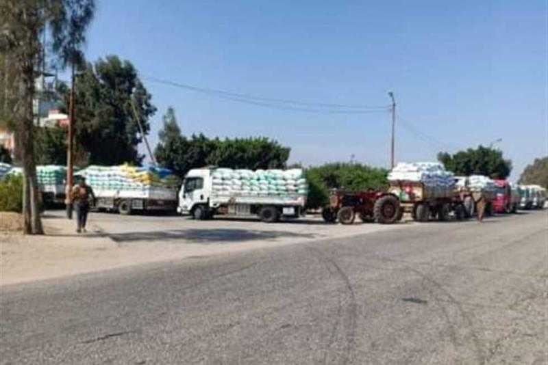 صوامع الشرقية تستقبل 511 ألف طن قمح من الموردين