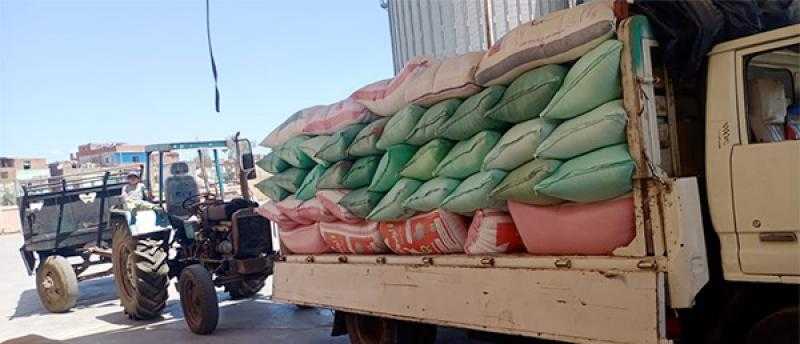 توريد 177 ألف طن قمح من خلال 25 منفذا بمحافظة كفرالشيخ