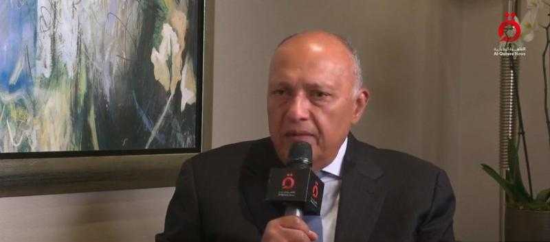 شكري: تحركنا نحو محكمة العدل الدولية احتراما للقانون الدولي لمنع الإبادة الجماعية في غزة