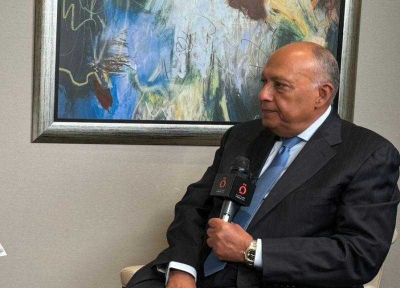 وزير الخارجية يحث الدول التي تتبنى حل الدولتين على الاعتراف بالدولة الفلسطينية