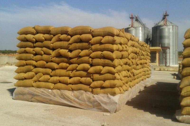 شون محافظة البحيرة تستقبل 189 ألف طن قمح