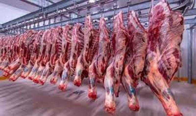 الجيزة تعلن توفر أماكن مجانية لذبح الأضاحي خلال أيام عيد الأضحى