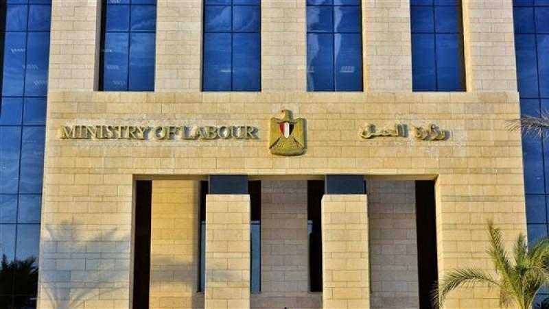وزير العمل: تسجيل 950 مركزا تدريبا على المنصة الإلكترونية لمشروع مهني 2030