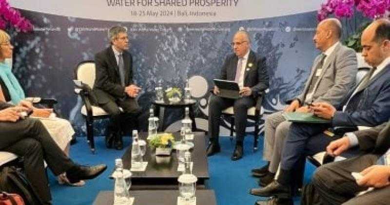 وزير الرى: مبادرة حوض النيل انحرفت عن مبدأها الأساسى فى اتخاذ القرار بالإجماع