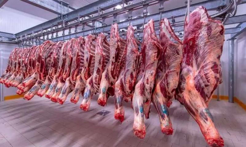 التموين ترفع معدلات ضخ اللحوم بكميات تصل لـ 150 ألف طن يوميًا مع اقتراب عيد الأضحى