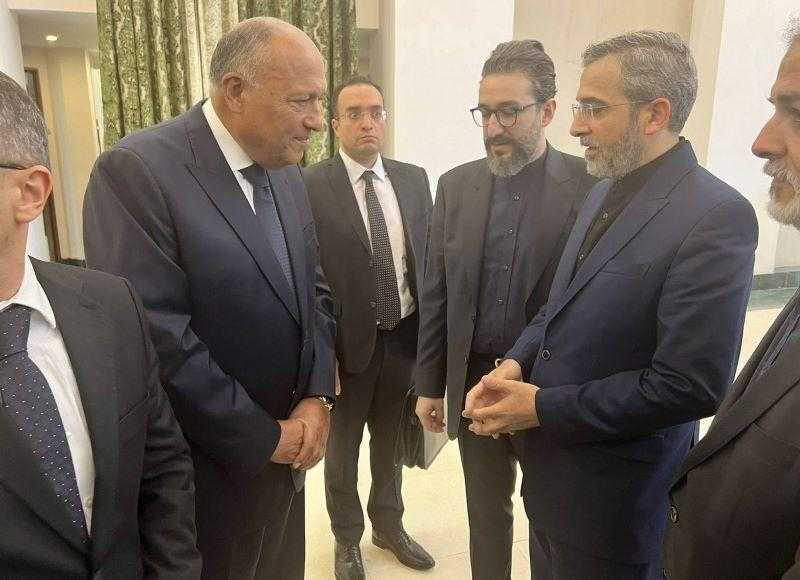 وزير الخارجية يقدم واجب العزاء فى الرئيس الإيرانى الراحل إبراهيم رئيسي ووزير خارجيته