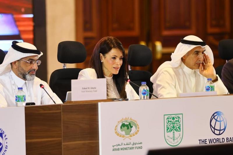 رانيا المشاط: تمويلات القطاع الخاص من شركاء التنمية تجاوزت 10.3 مليار دولار خلال 4 سنوات