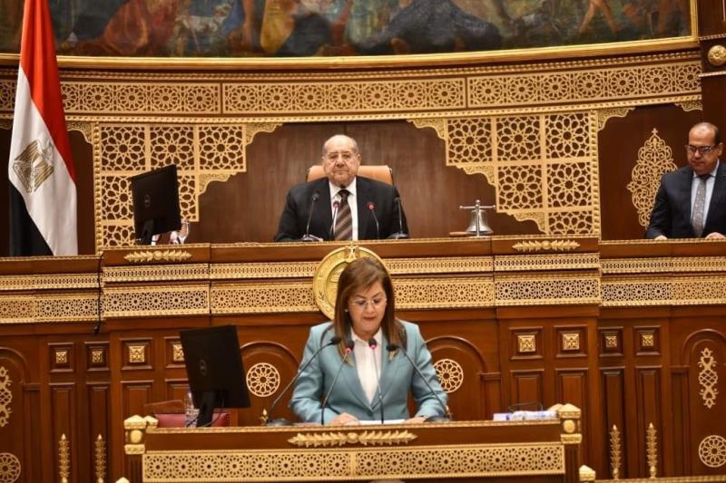 هالة السعيد: ٨٥ مليار جنيه قيمة الاستثمارات في الاقتصاد الرقمي بالعام المالي الجديد
