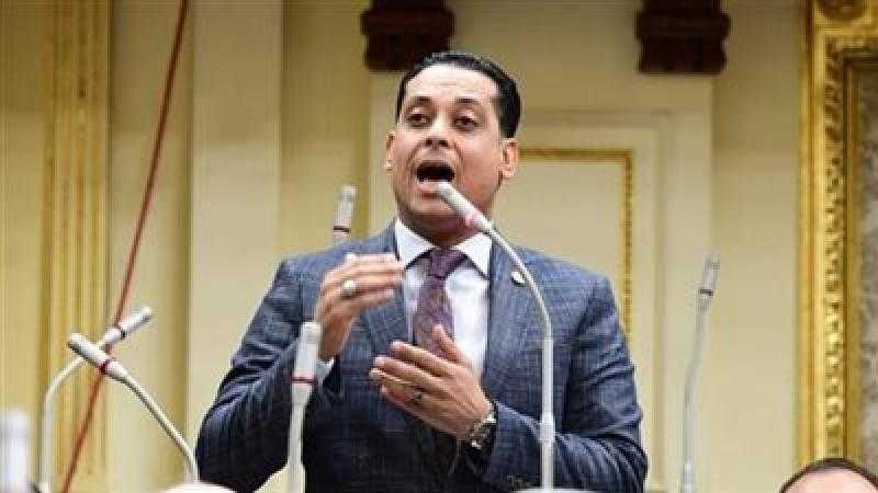 نشأت العمدة: الرئيس السيسى نجح فى تعزيز الأمن الغذائى عبر مشروعات زراعية ضخمة