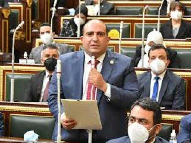 وكيل «إفريقية النواب»: لقاء رئيس الوزراء مع 200 مستثمر يفتح آفاقا لزيادة التصدير