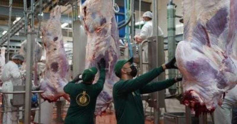 بيت الزكاة: ذبح 1000 عجل بلدى فى إطار مبادرة ”فطارك معانا.. يوم عرفة”