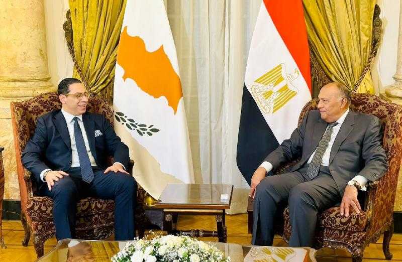 مباحثات ثنائية لوزيري خارجية مصر وقبرص بالقاهرة.. صور