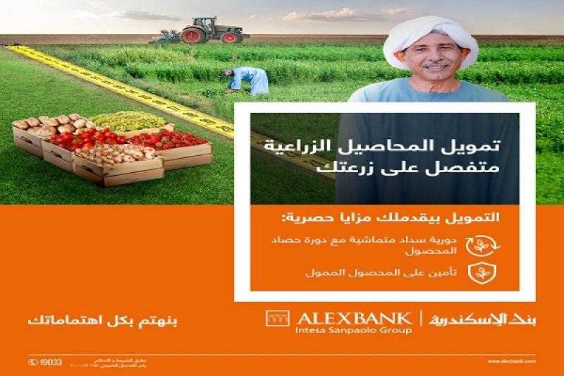 بنك الإسكندرية يتيح تمويل المحاصيل الزراعية على فترة سداد تصل إلى 60 شهراً