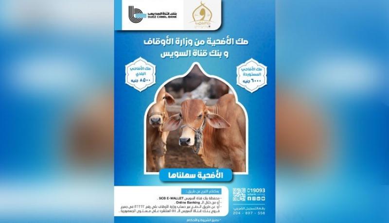 بنك قناة السويس يتيح شراء صكوك الأضاحي بالتعاون مع وزارة الأوقاف المصرية