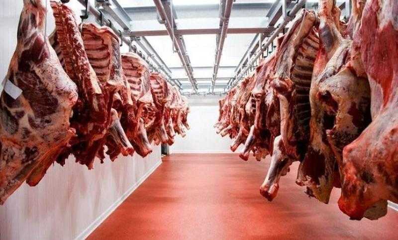 وزير التموين: توفير 5 آلاف رأس من لحوم الضأن المبردة و5 آلاف من الخراف الحية