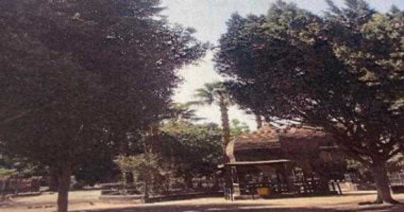 وزارة ‫الزراعة تنفى قطع الأشجار بحديقة الحيوان بالجيزة
