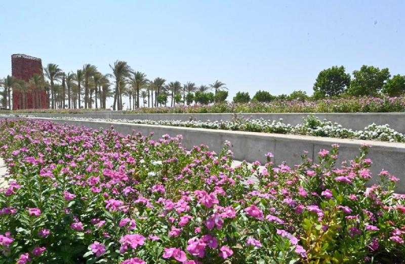 الإسكان: زرعنا أكثر من 46 ألف شجرة ونخلة بمشروع ”كابيتال بارك” بالعاصمة الإدارية حتى الآن| صور