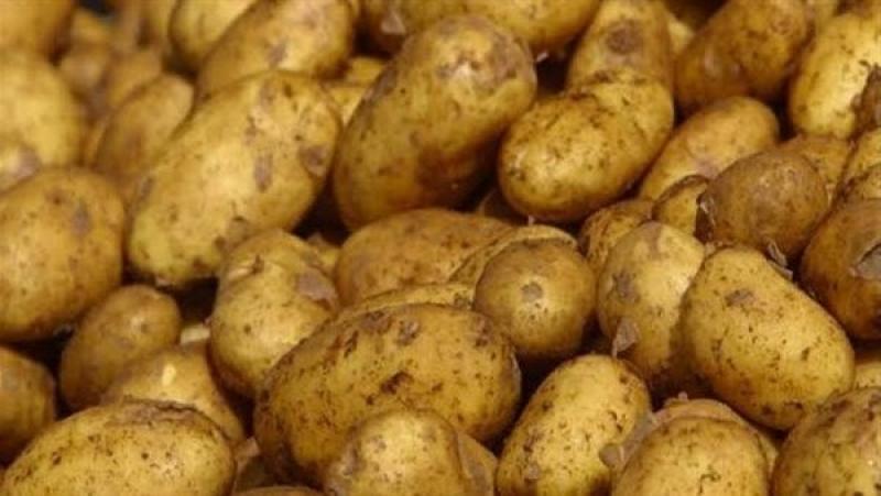 سبب ارتفاع أسعار البطاطس لـ25 جنيها.. عضو رابطة تجار سوق الخضراوات يوضح