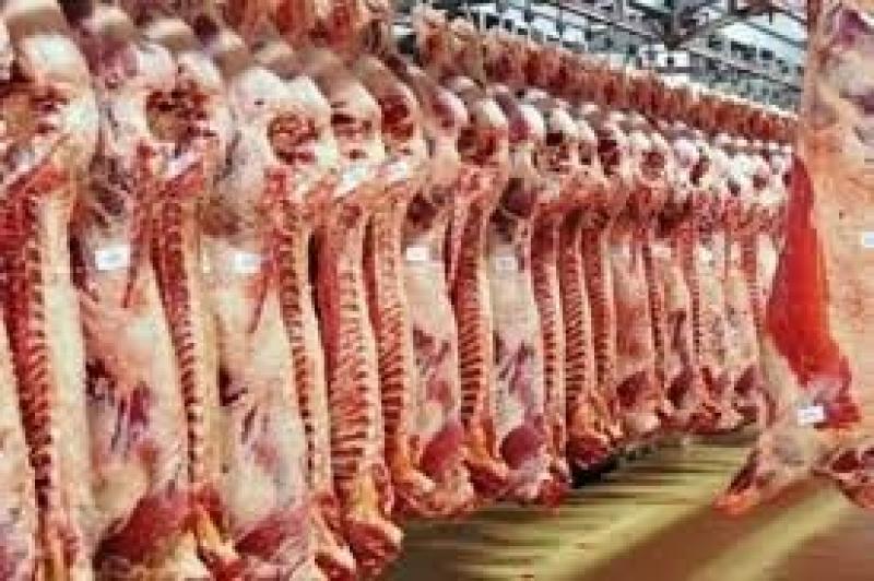 رئيس شعبة القصابين: قدوم شحنة عجول من الصومال.. وانخفاض أسعار اللحوم قريبا (فيديو)