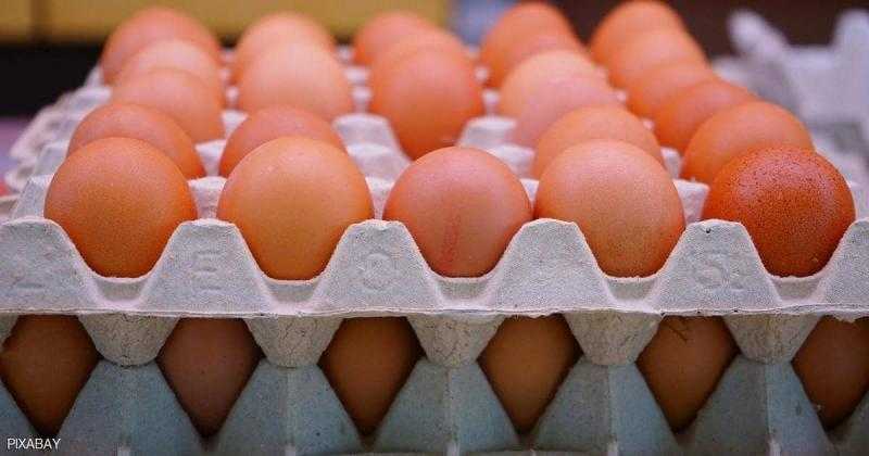 كرتونة الأبيض بـ 154.25 جنيه.. تراجع أسعار البيض والألبان بالأسواق اليوم الجمعة 19 يوليو