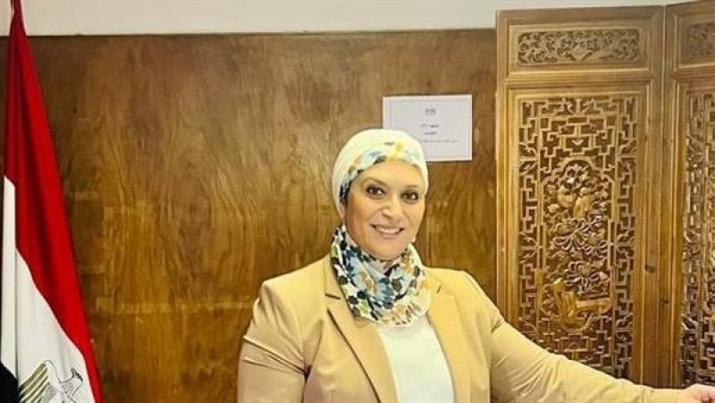 سفيرة مصر بزيمبابوي: مصر أعلى دول أفريقيا استقبالا للاستثمارات الأجنبية