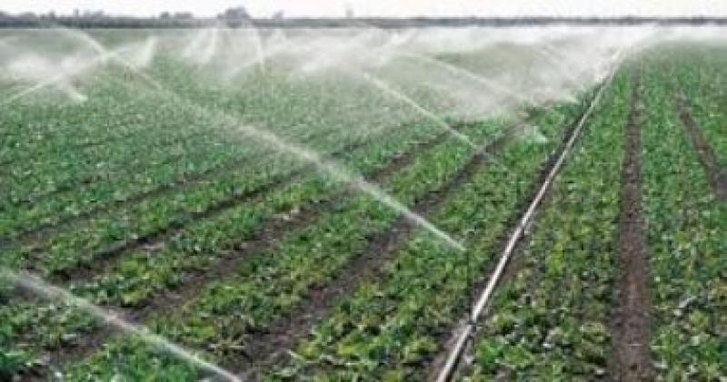 زراعة النواب: 10 توصيات لتعزيز الاستفادة من الموارد المائية فى ظل محدوديتها