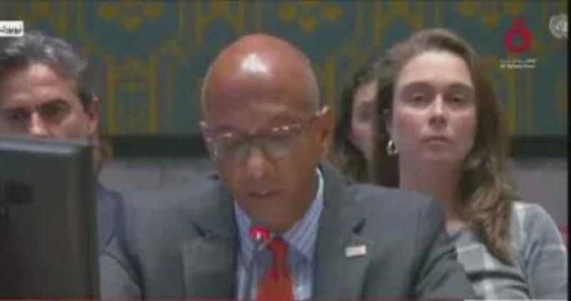 نائب مندوبة أمريكا بالأمم المتحدة: وقف إطلاق النار فى غزة سيسمح بخروج المحتجزين