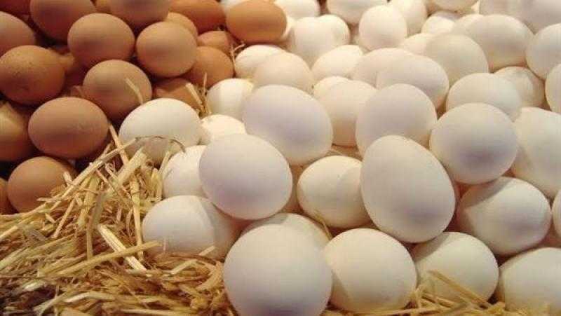 أسعار البيض اليوم الأحد 11-8- 2024 في مصر
