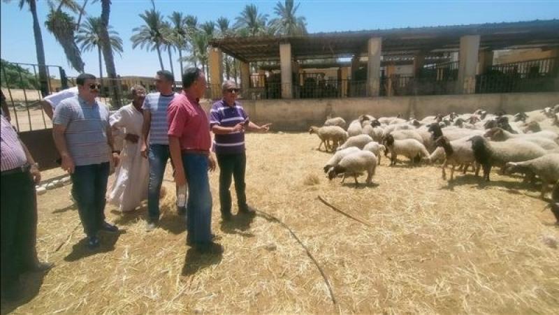 الزراعة: زيارة تفقدية لمحطة مريوط لمتابعة سير العمل