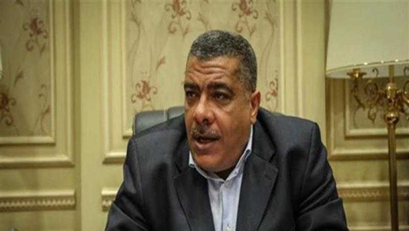برلماني: إطلاق حملة «إيد واحدة» يؤكد تحقيق العدالة الاجتماعية