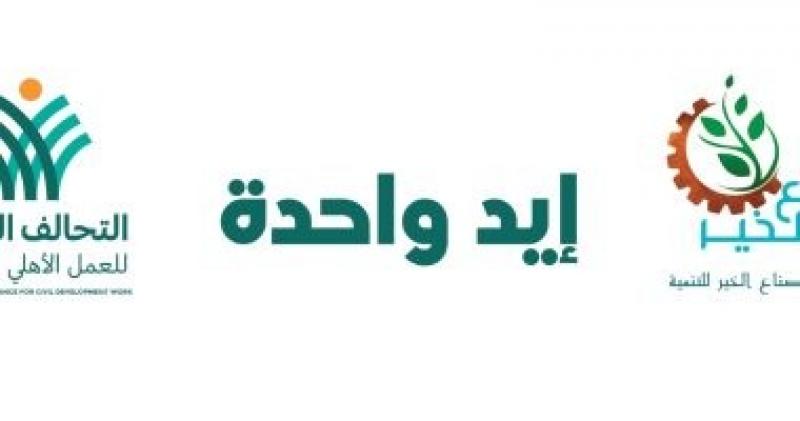 عضو بمجلس الشيوخ: مبادرة ”إيد واحدة” تعزز التنمية المستدامة