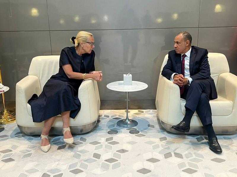 وزير الخارجية يلتقي كبيرة منسقي الأمم المتحدة للشئون الإنسانية وإعادة الإعمار في قطاع غزة