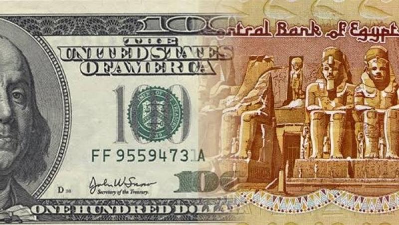 خبير اقتصادي يوضح سبب ارتفاع سعر الدولار مقابل الجنيه