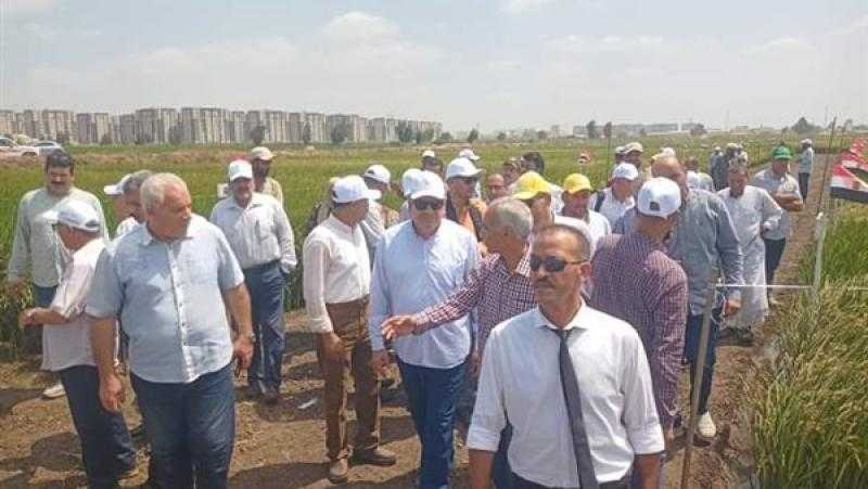 البحوث الزراعية ينظم يوم الحقل السنوي لمحصول الذرة الشامية والأرز بسخا