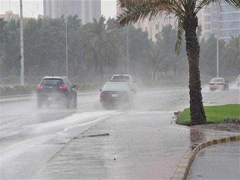 أمطار رعدية ورياح واضطراب في الملاحة.. الأرصاد تُحذر من طقس الساعات المقبلة