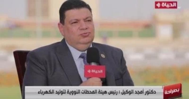هيئة المحطات النووية: نسعى لتركيب مصيدة قلب المفاعل الثالث خلال أكتوبر المقبل