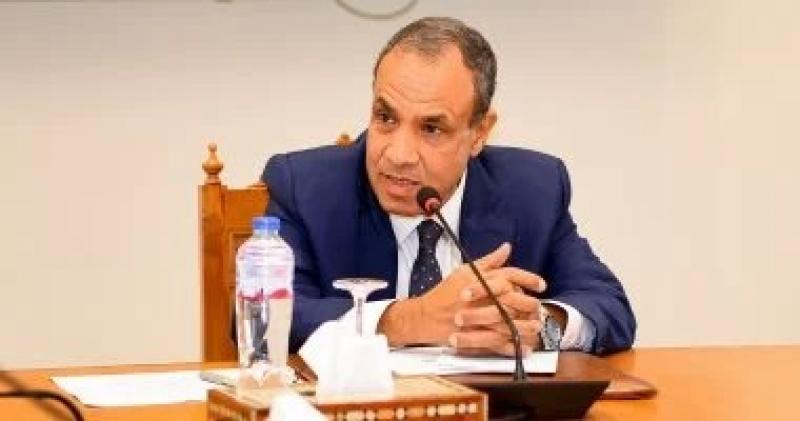 وزير الخارجية: قوة مؤسسات مصر ساعدت دول الجوار فى مواجهة العديد من الأزمات