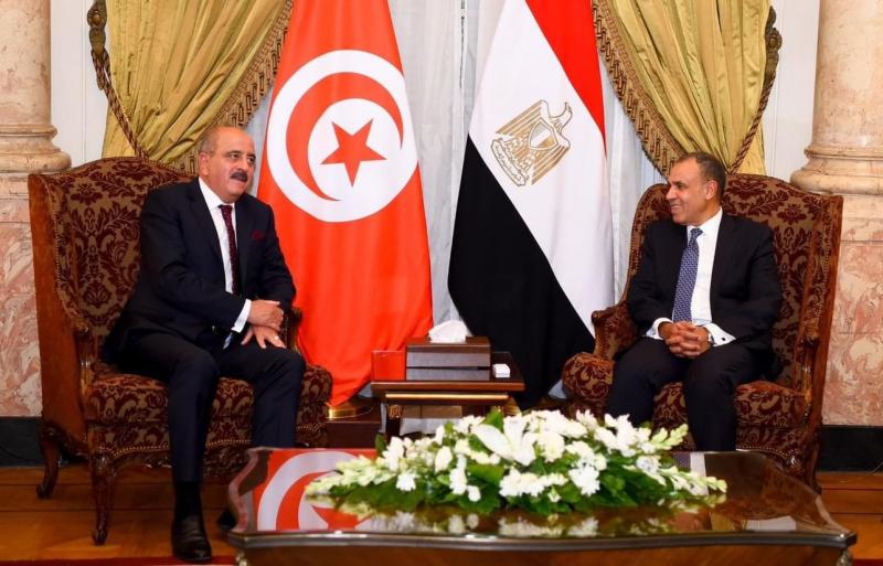 على هامش الاجتماع الوزاري لمجلس جامعة الدول العربية.. وزير الخارجية والهجرة يجتمع مع نظيره التونسي