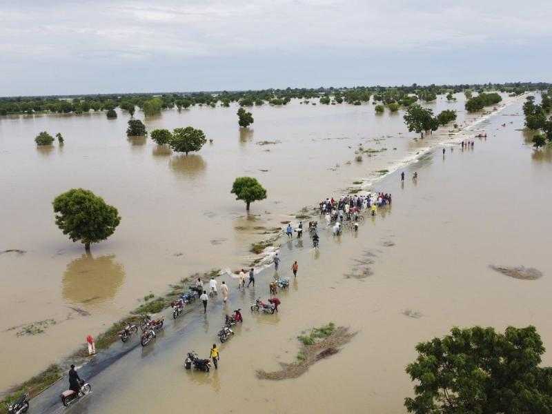 فيضانات نيجيريا تجرف حيوانات مفترسة إلى الشوارع