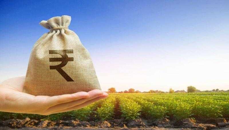 بمناسبة عيد الفلاح.. تفاصيل وشروط قرض المحاصيل الزراعية من البنك الزراعي المصري بفائدة 5%