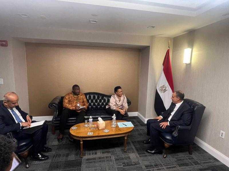 وزير الخارجية يلتقي المديرة التنفيذية للآلية الإفريقية لمراجعة النظراء