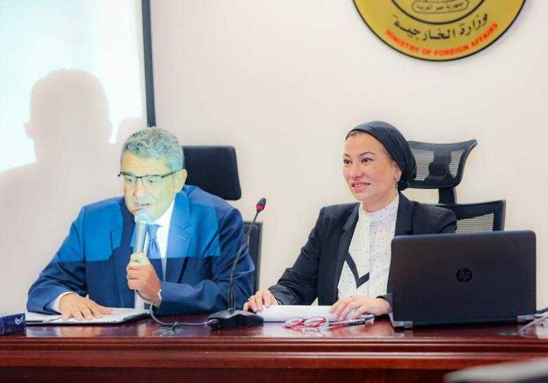 ياسمين فؤاد: مصر من الدول السباقة في العمل البيئي وتلعب دورا محوريا في توحيد الصوت الأفريقي والعربي