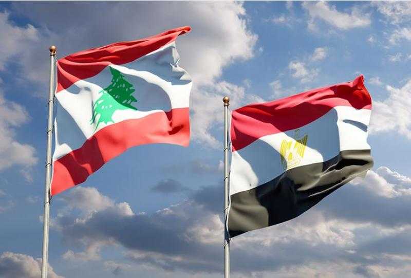 وزيرا خارجية مصر ولبنان يؤكدان أهمية إصدار قرار ملزم لإسرائيل لوقف عدوانها على الأراضي الفلسطينية واللبنانية